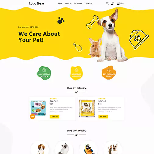 Accounting Portfolio